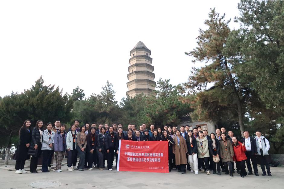 b3c35d544ec946c0a20fed68170ad220