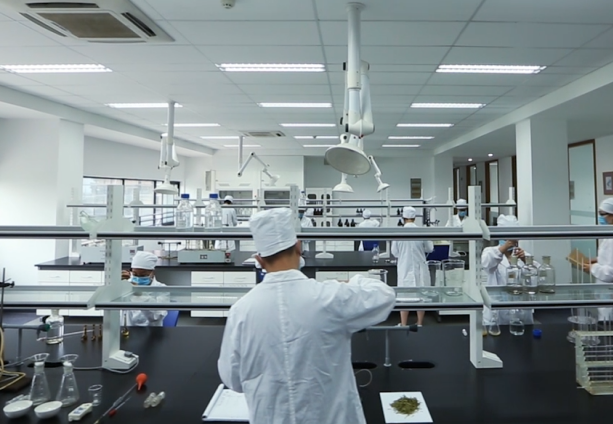 6d70f0591b464420a1bfb3b200063c21 6d70f0591b464420a1bfb3b200063c21