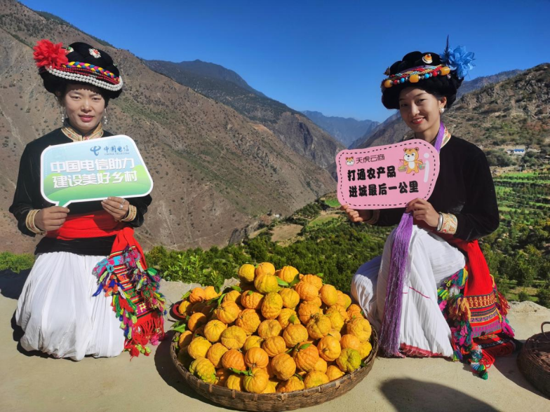 12e08d8c366048ca8eeeba2acf16d64b 12e08d8c366048ca8eeeba2acf16d64b