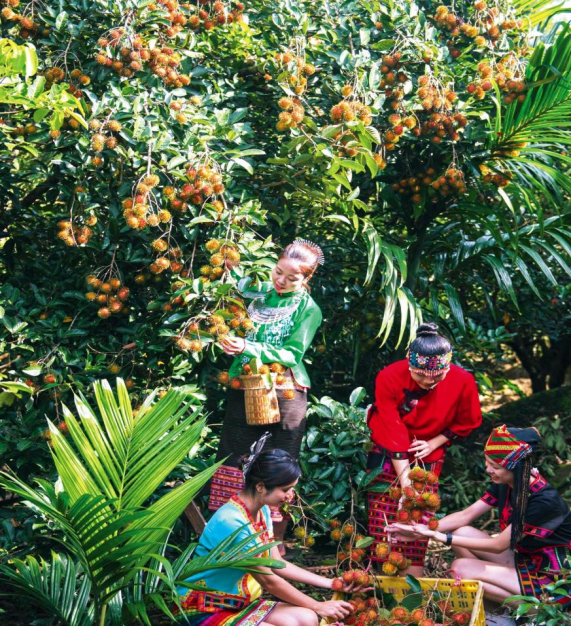 d6efeb6f6bc14dcdb05f7babc58bcb46 d6efeb6f6bc14dcdb05f7babc58bcb46