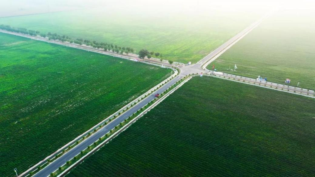 04d93546ad1b46e88beb8be158a7856d 04d93546ad1b46e88beb8be158a7856d