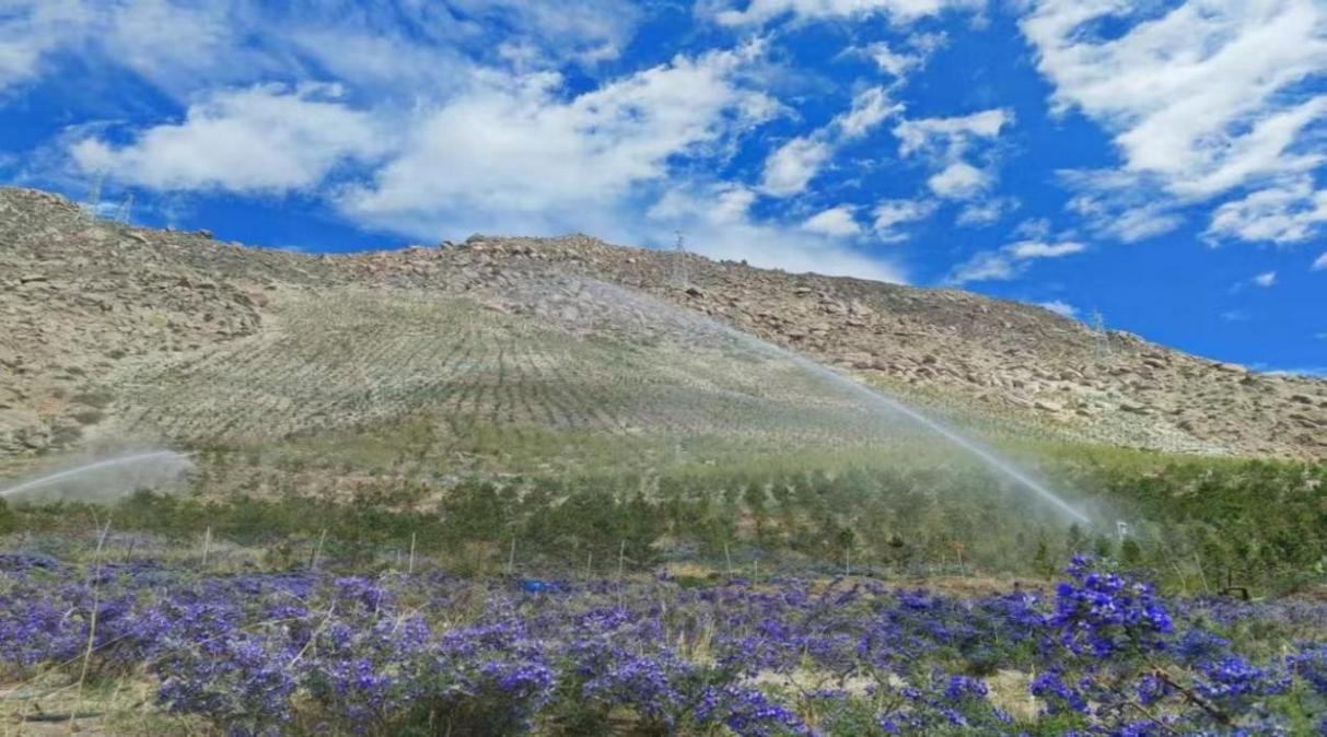 f098b461-f6fe-4c63-9a96-042ec491a946image1