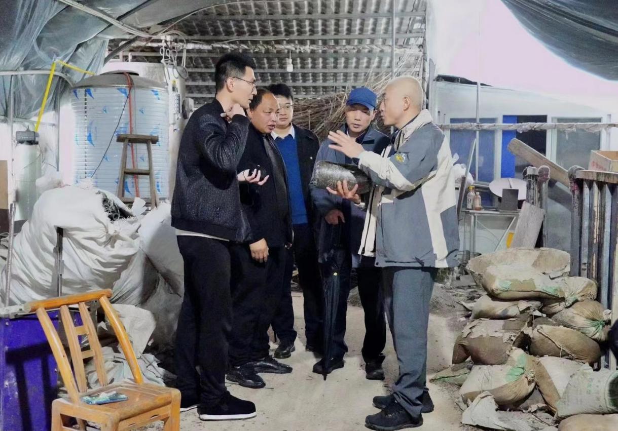 8b493773-0fda-4079-82f2-6d49b54f73bfimage3 8b493773-0fda-4079-82f2-6d49b54f73bfimage3