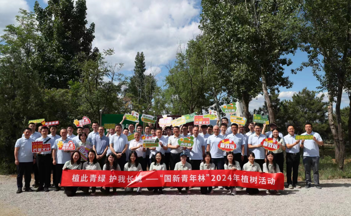 04fe7e99-1a2e-4b8f-ab86-dce0cdc833a3image2 04fe7e99-1a2e-4b8f-ab86-dce0cdc833a3image2