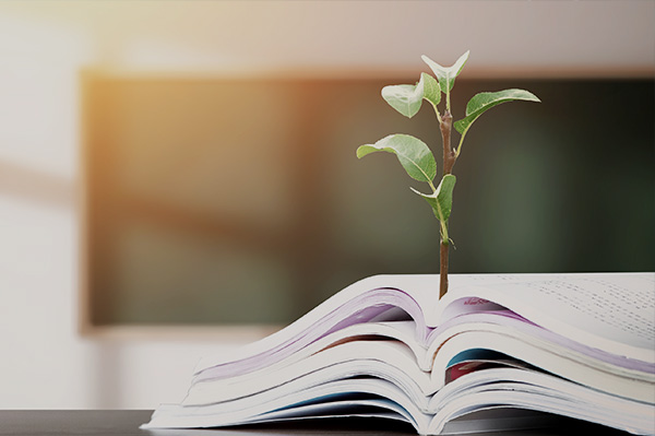 中国文化工业开展集团有限公司