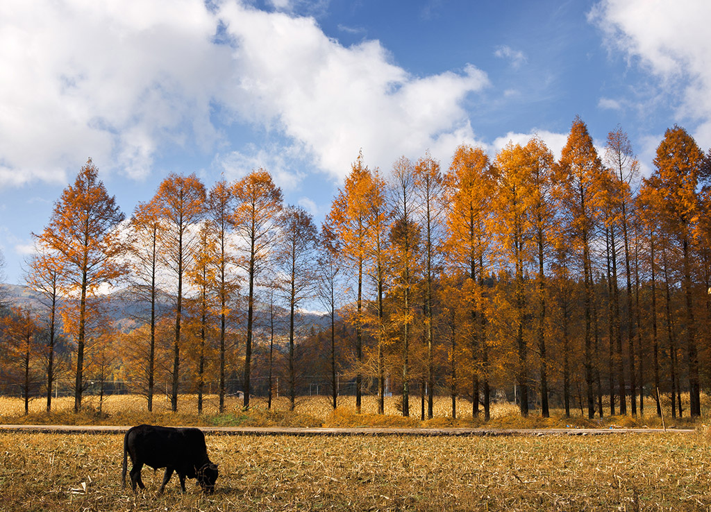 EMC�ױ���(�й�)�����ٷ���վ-EMC SPORTS