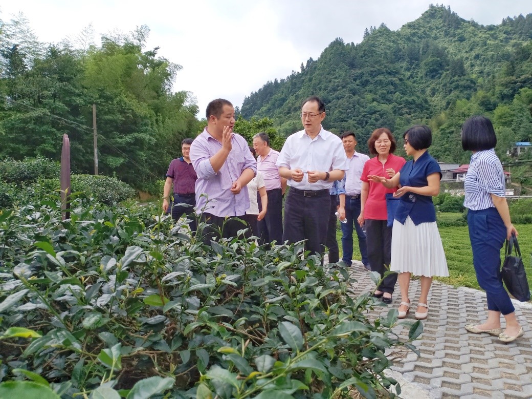 W020190628818983114343 EMCÒ×±¶¡¤(Öйú)ÌåÓý¹Ù·½ÍøÕ¾-EMC SPORTS