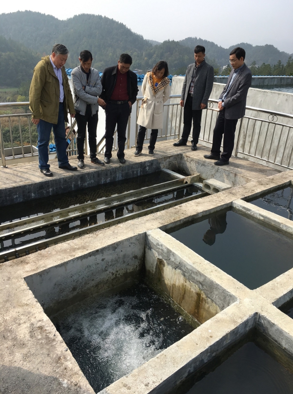 W020171101529771492674 W020171101529771492674