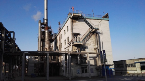 W020170106316871643666